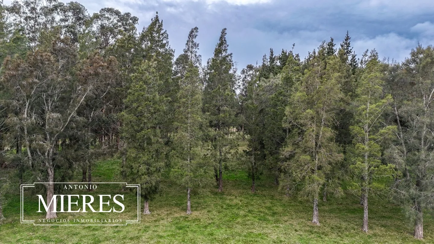 Chacra de 5 ha en venta con casco del siglo XVIII reformado, Maldonado Uruguay. — foto 15