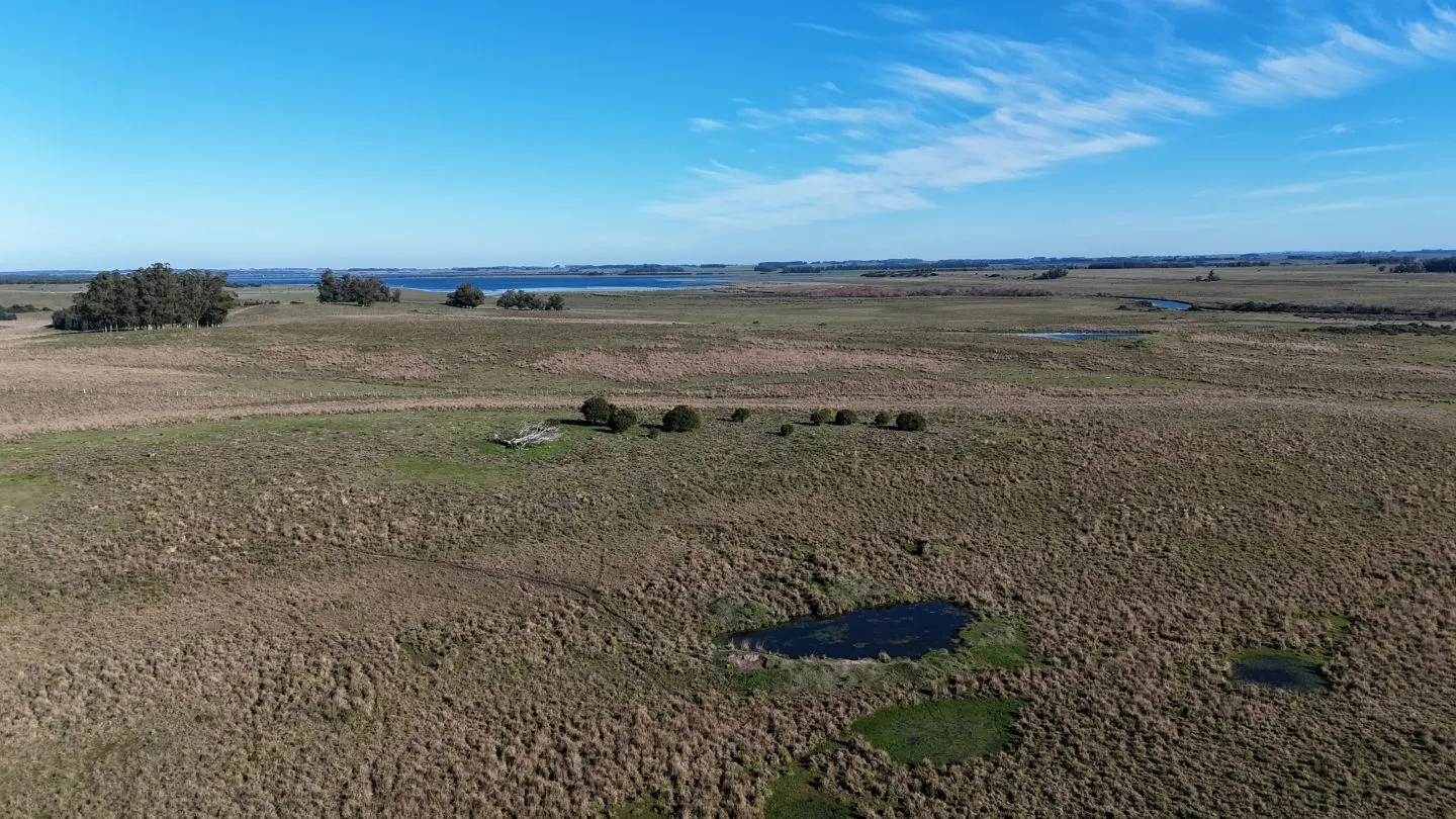 Campo en venta de 24 ha en ruta 10 las Garzas Rocha Uruguay — foto 20