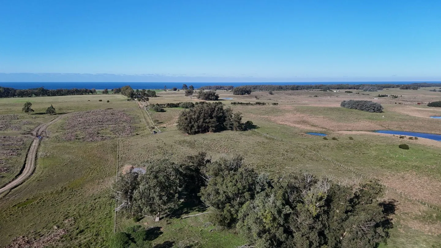 Campo en venta de 24 ha en ruta 10 las Garzas Rocha Uruguay — foto 21
