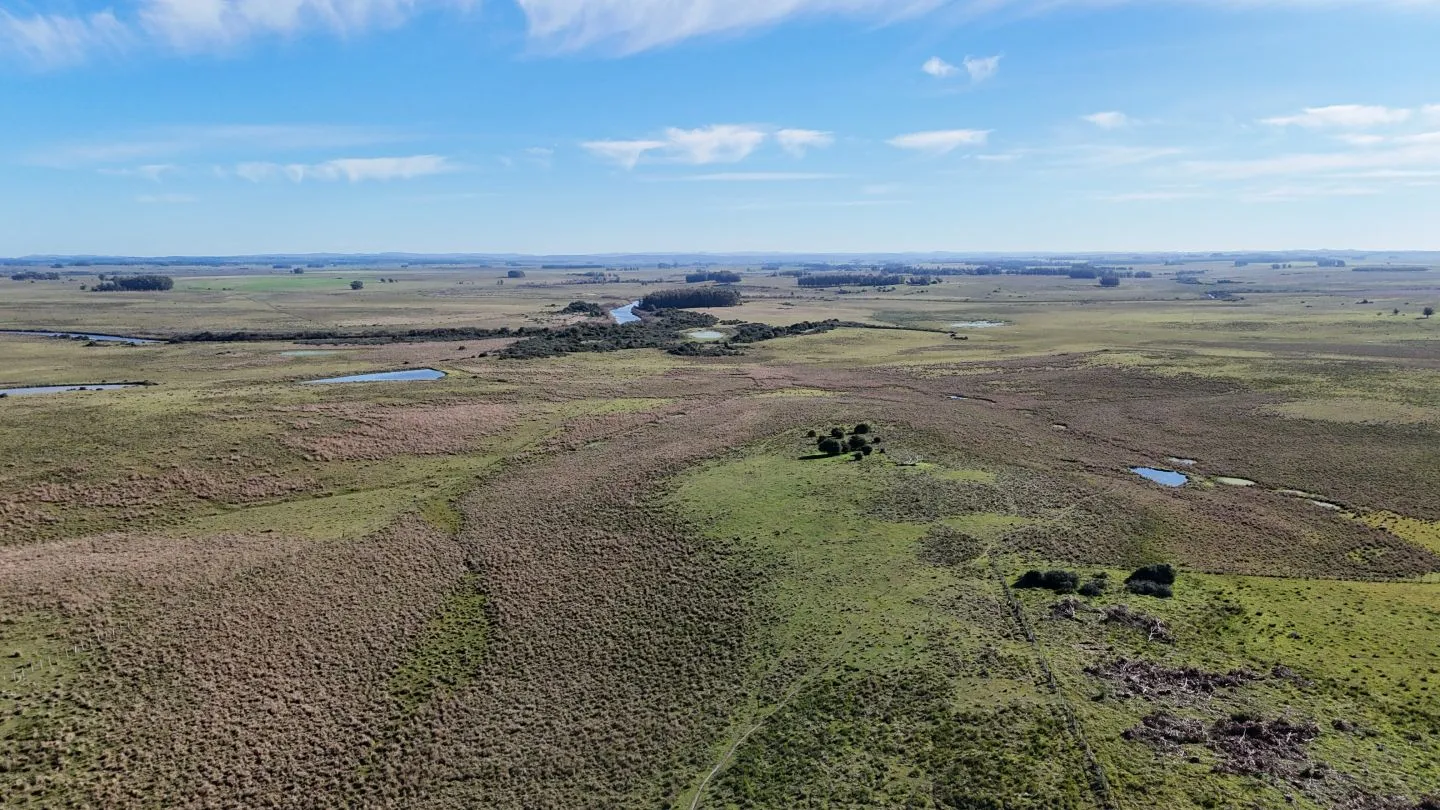 Campo en venta de 24 ha en ruta 10 las Garzas Rocha Uruguay — foto 22