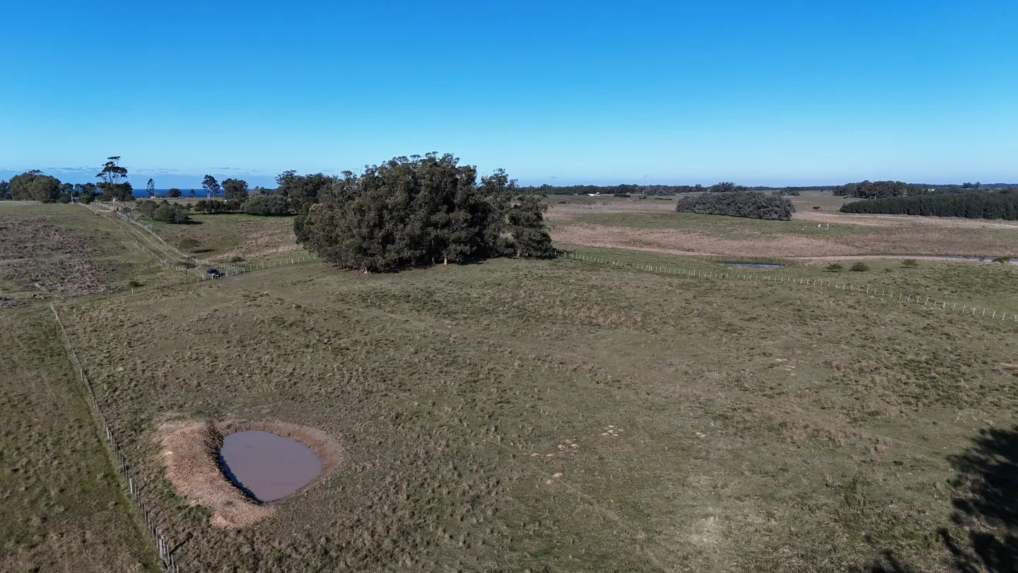 Campo en venta de 24 ha en ruta 10 las Garzas Rocha Uruguay — foto 23