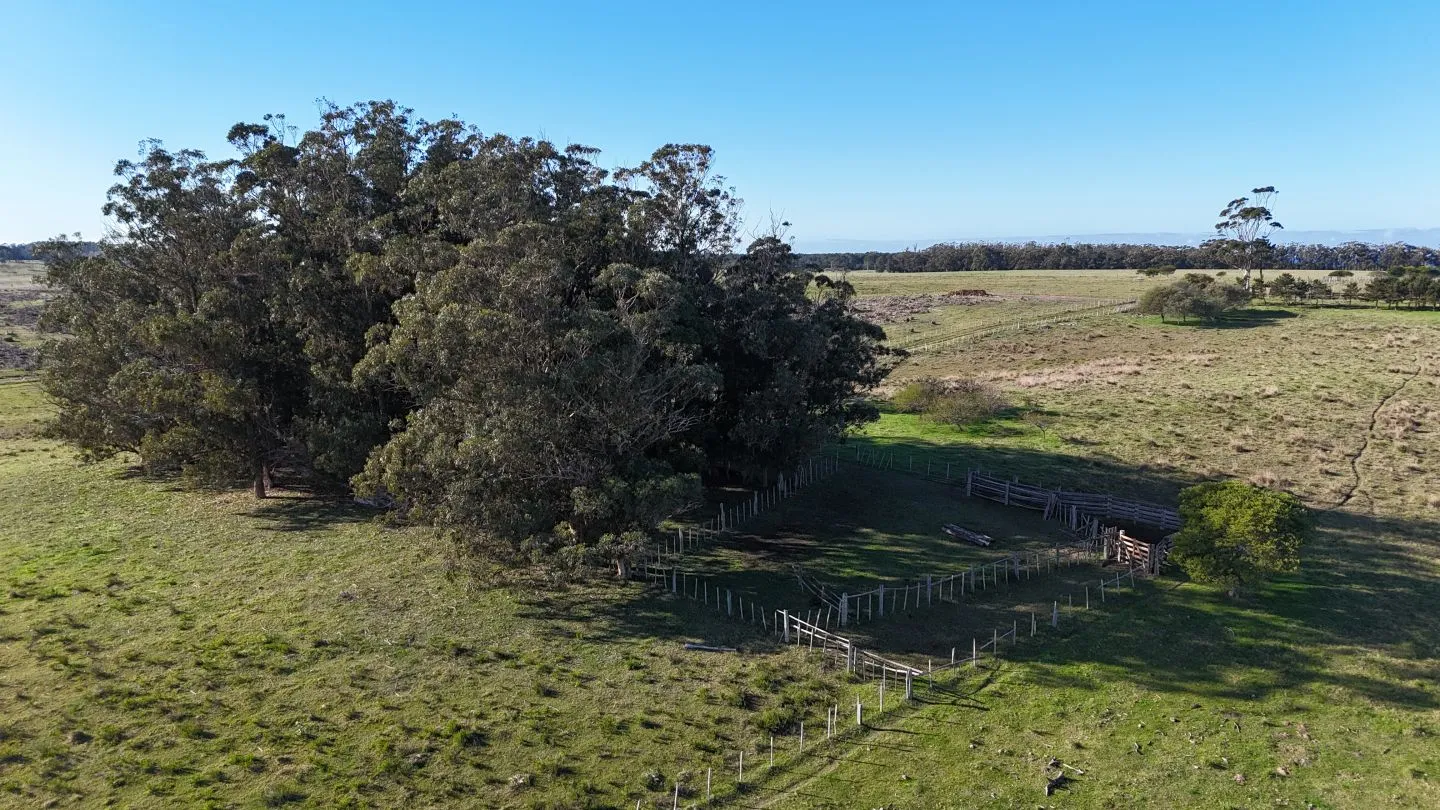 Campo en venta de 24 ha en ruta 10 las Garzas Rocha Uruguay — foto 24
