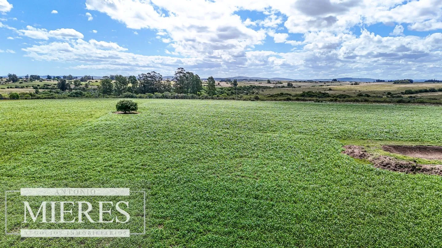 Chacras en venta de 3,5 ha con opción de 7 ha o 14 ha Corte de la Leña Maldonado — foto 1