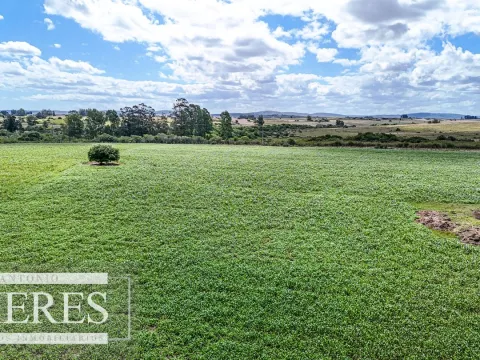 Chacras en venta de 3,5 ha con opción de 7 ha o 14 ha Corte de la Leña Maldonado