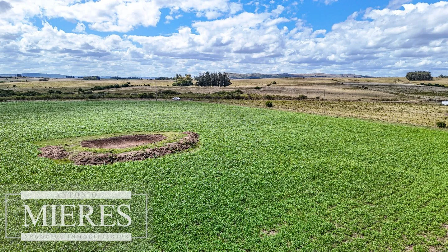 Chacras en venta de 3,5 ha con opción de 7 ha o 14 ha Corte de la Leña Maldonado — foto 2