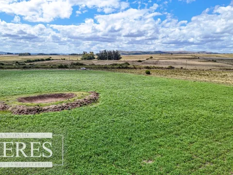 Chacras en venta de 3,5 ha con opción de 7 ha o 14 ha Corte de la Leña Maldonado — foto 2