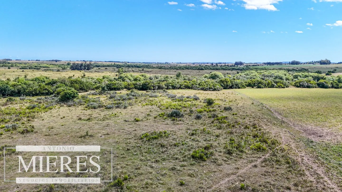 Chacras en venta de 3,5 ha con opción de 7 ha o 14 ha Corte de la Leña Maldonado — foto 3