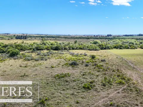 Chacras en venta de 3,5 ha con opción de 7 ha o 14 ha Corte de la Leña Maldonado — foto 3
