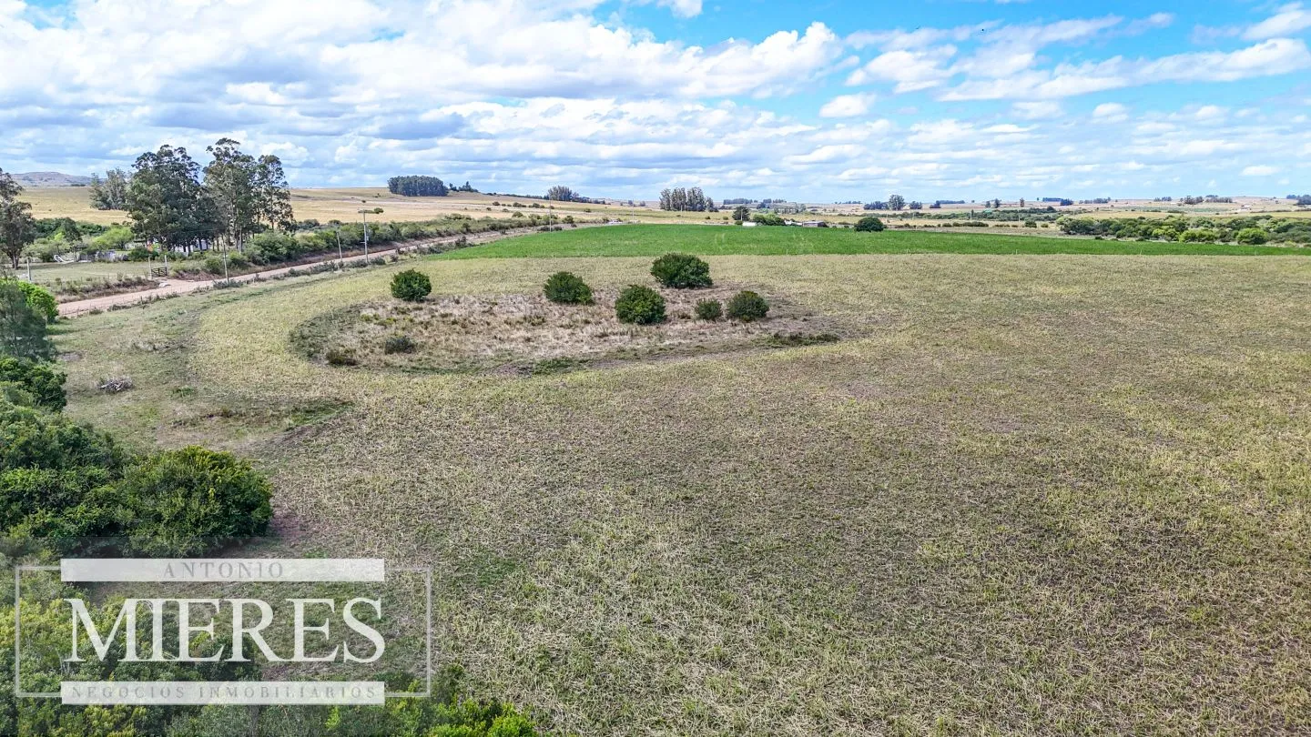 Chacras en venta de 3,5 ha con opción de 7 ha o 14 ha Corte de la Leña Maldonado — foto 4