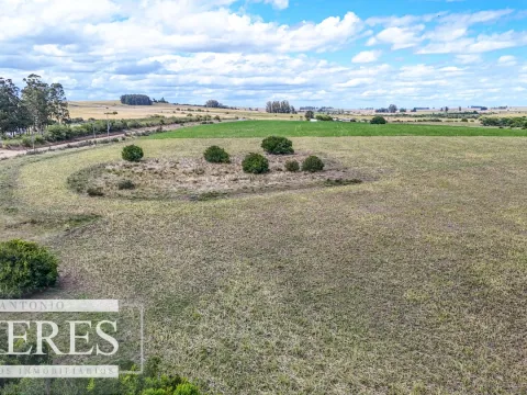 Chacras en venta de 3,5 ha con opción de 7 ha o 14 ha Corte de la Leña Maldonado — foto 4