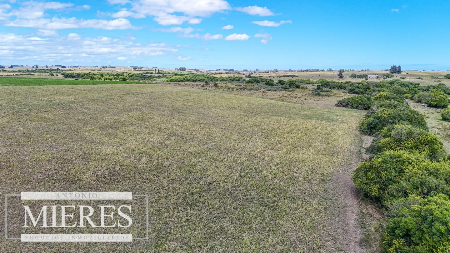 Chacras en venta de 3,5 ha con opción de 7 ha o 14 ha Corte de la Leña Maldonado — foto 5