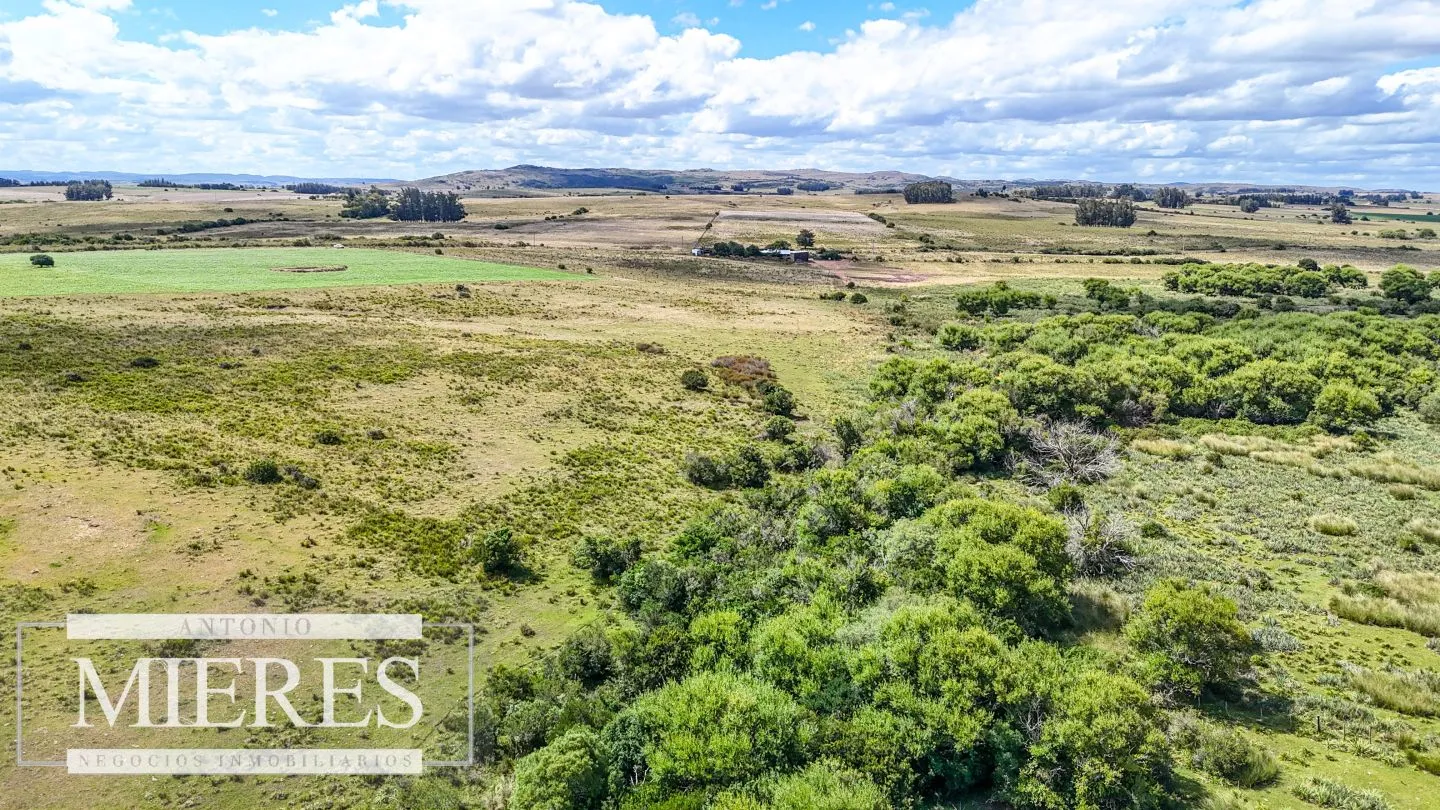 Chacras en venta de 3,5 ha con opción de 7 ha o 14 ha Corte de la Leña Maldonado — foto 7