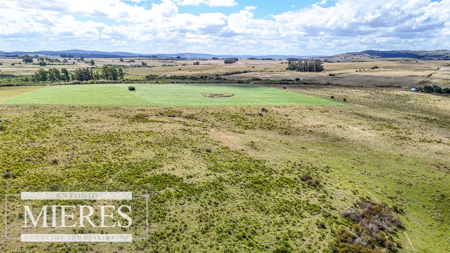 Chacras en venta de 3,5 ha con opción de 7 ha o 14 ha Corte de la Leña Maldonado — foto 8