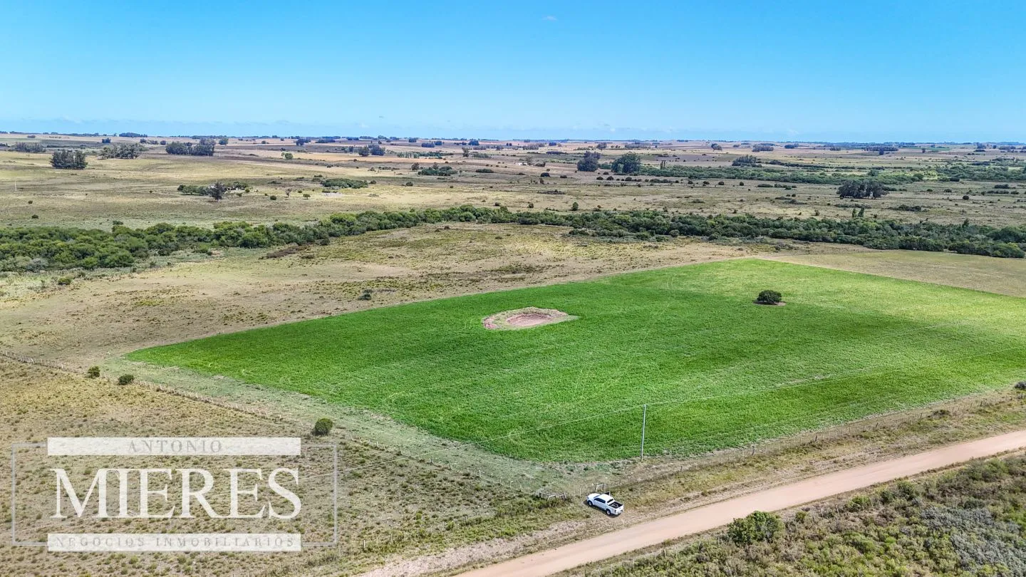 Chacras en venta de 3,5 ha con opción de 7 ha o 14 ha Corte de la Leña Maldonado — foto 10
