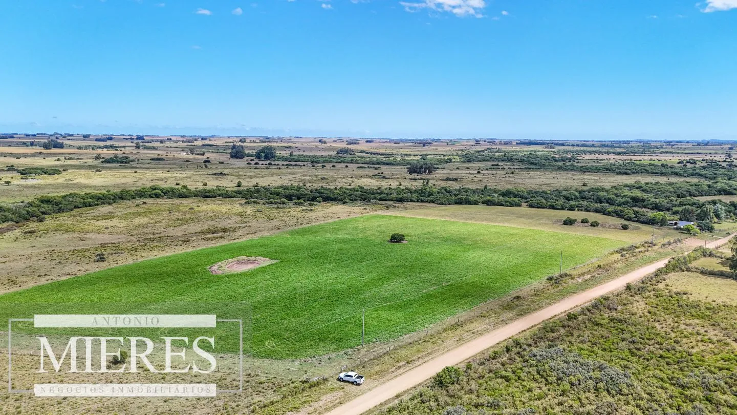 Chacras en venta de 3,5 ha con opción de 7 ha o 14 ha Corte de la Leña Maldonado — foto 11
