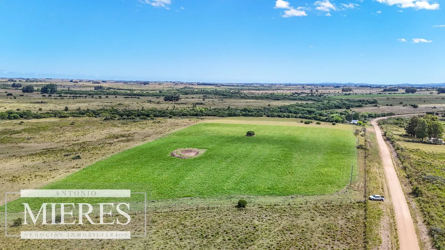 Chacras en venta de 3,5 ha con opción de 7 ha o 14 ha Corte de la Leña Maldonado — foto 12