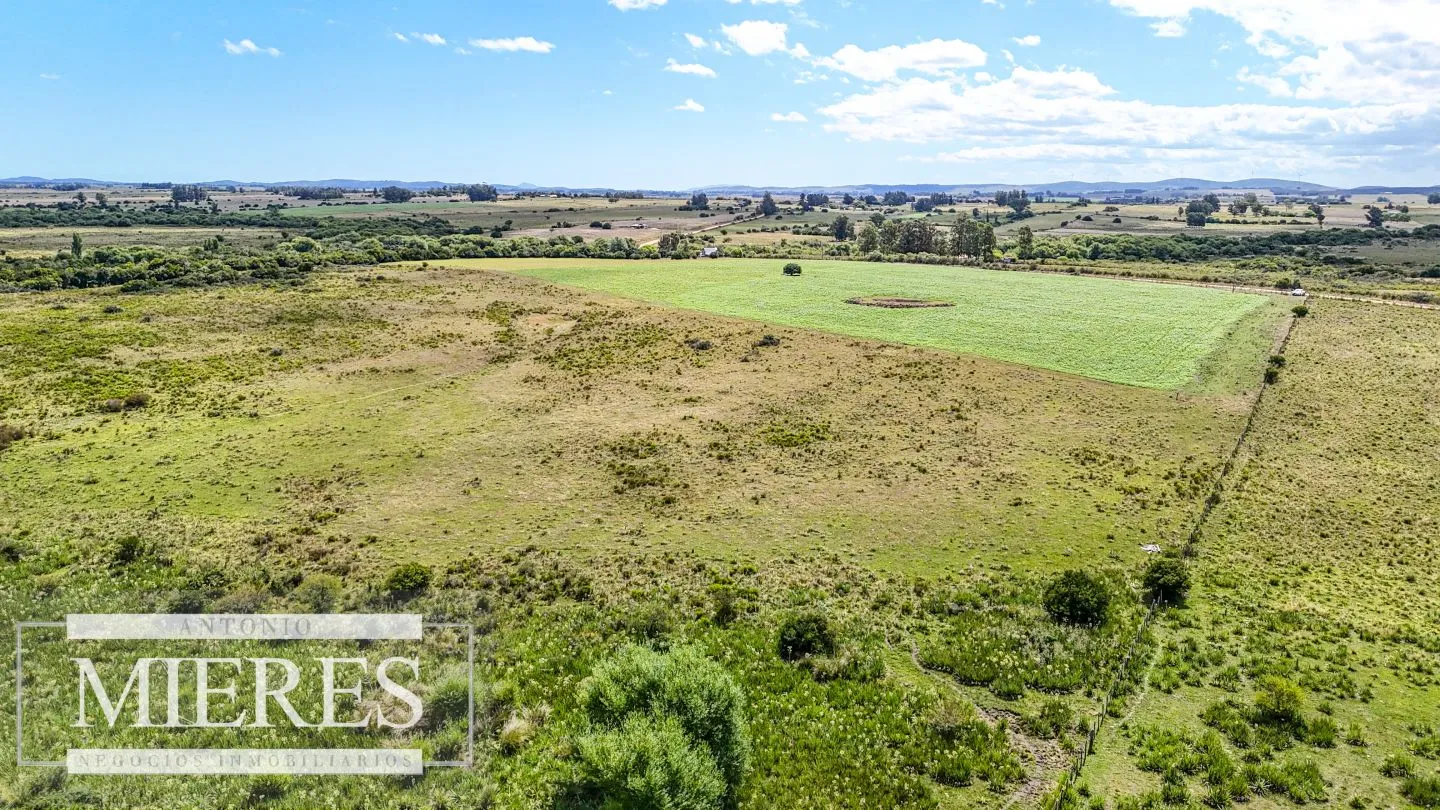 Chacras en venta de 3,5 ha con opción de 7 ha o 14 ha Corte de la Leña Maldonado — foto 13