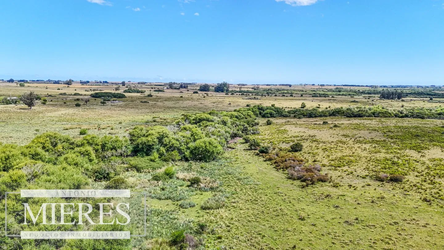 Chacras en venta de 3,5 ha con opción de 7 ha o 14 ha Corte de la Leña Maldonado — foto 14