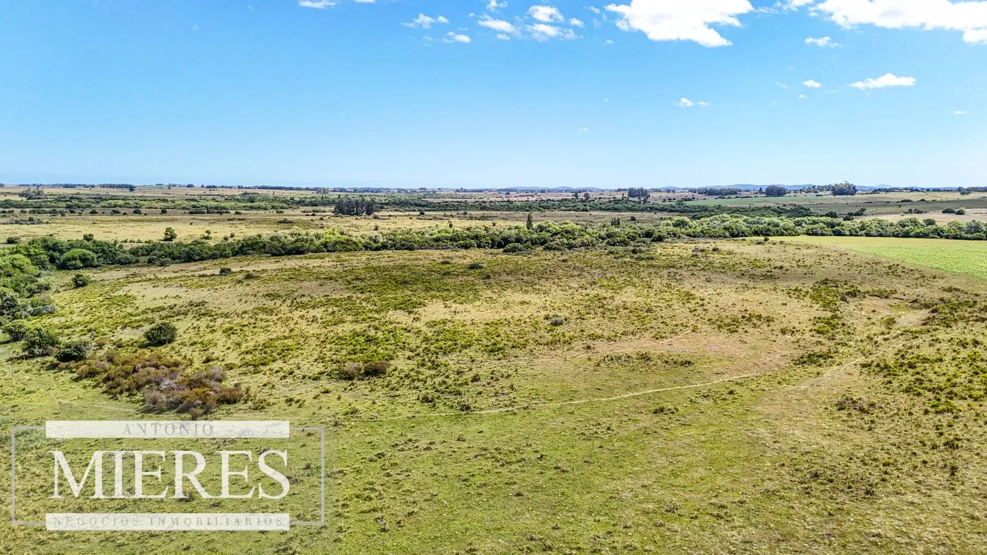 Chacras en venta de 3,5 ha con opción de 7 ha o 14 ha Corte de la Leña Maldonado — foto 15
