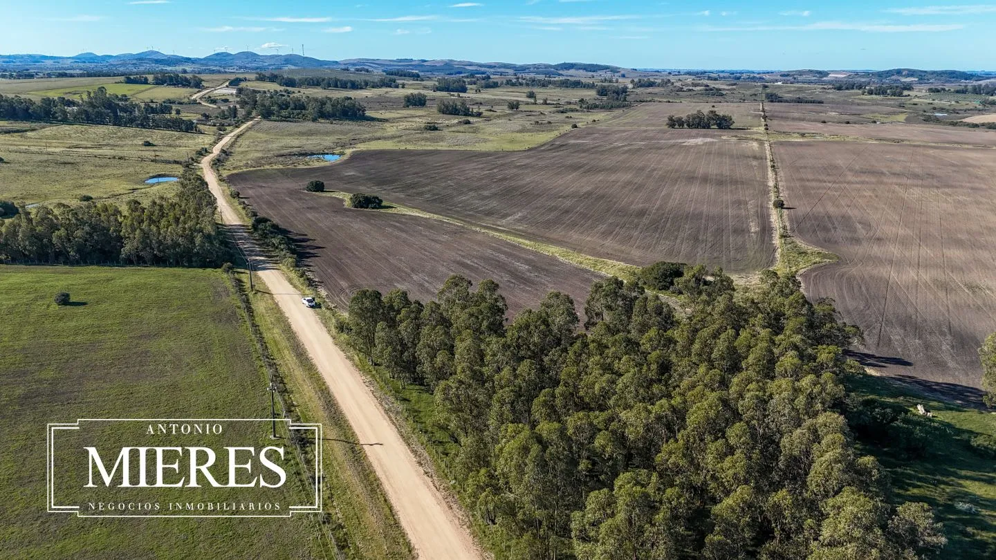 Venta de campo 50 ha en puntas de Laguna del Sauce — foto 1
