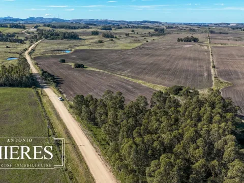 Venta de campo 50 ha en puntas de Laguna del Sauce