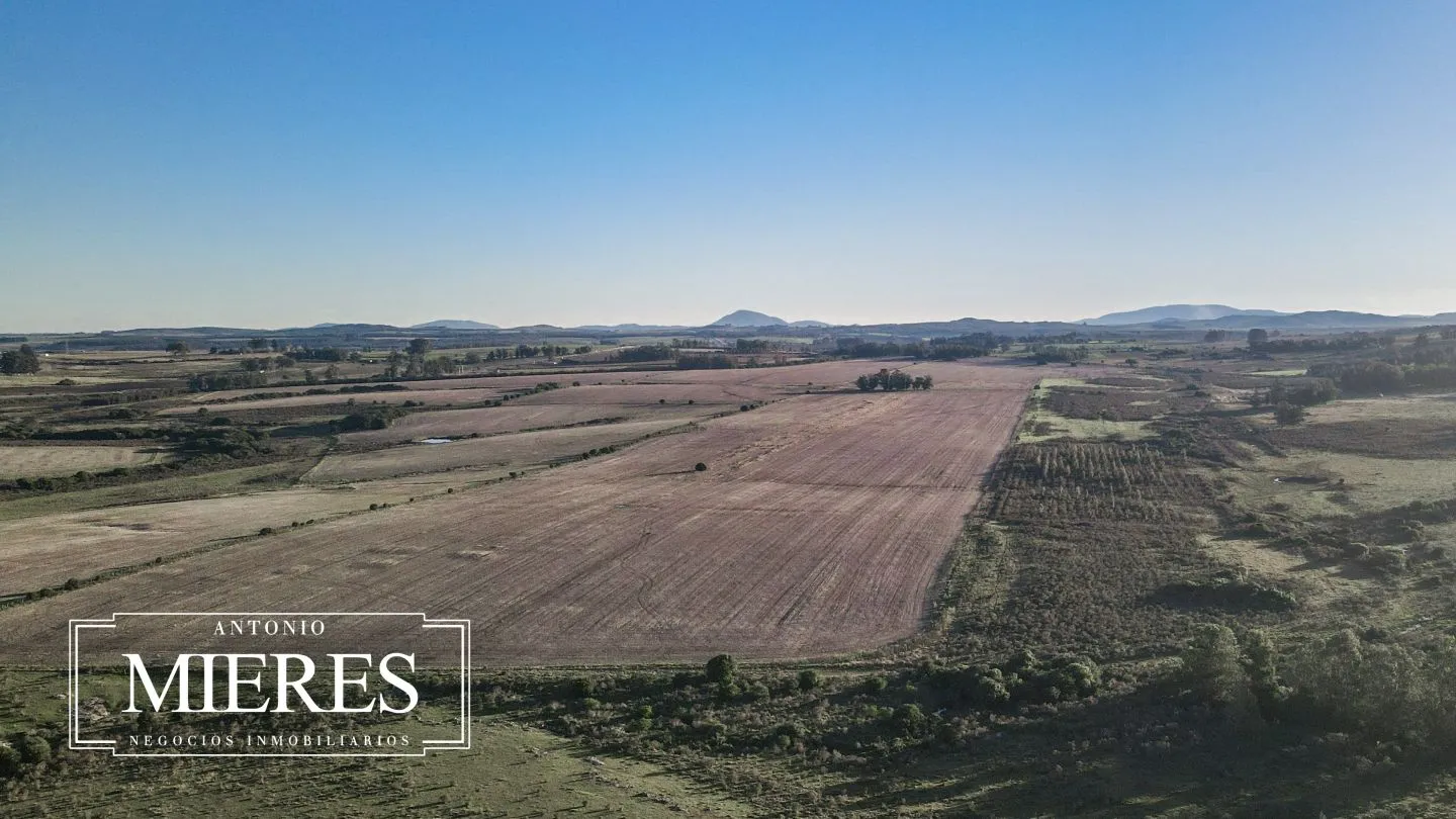 Venta de campo 50 ha en puntas de Laguna del Sauce — foto 2