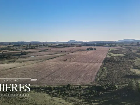 Venta de campo 50 ha en puntas de Laguna del Sauce — foto 2