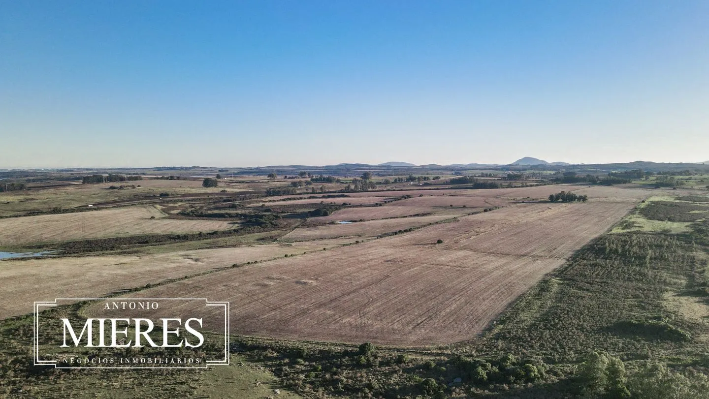 Venta de campo 50 ha en puntas de Laguna del Sauce — foto 3