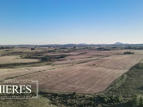 Venta de campo 50 ha en puntas de Laguna del Sauce — foto 3