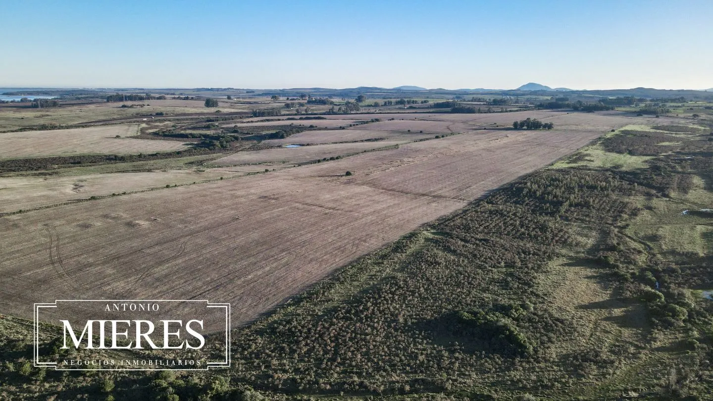 Venta de campo 50 ha en puntas de Laguna del Sauce — foto 4