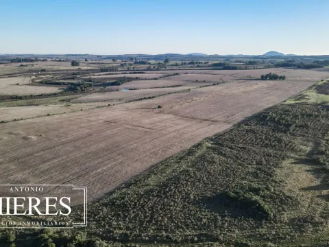 Venta de campo 50 ha en puntas de Laguna del Sauce — foto 4