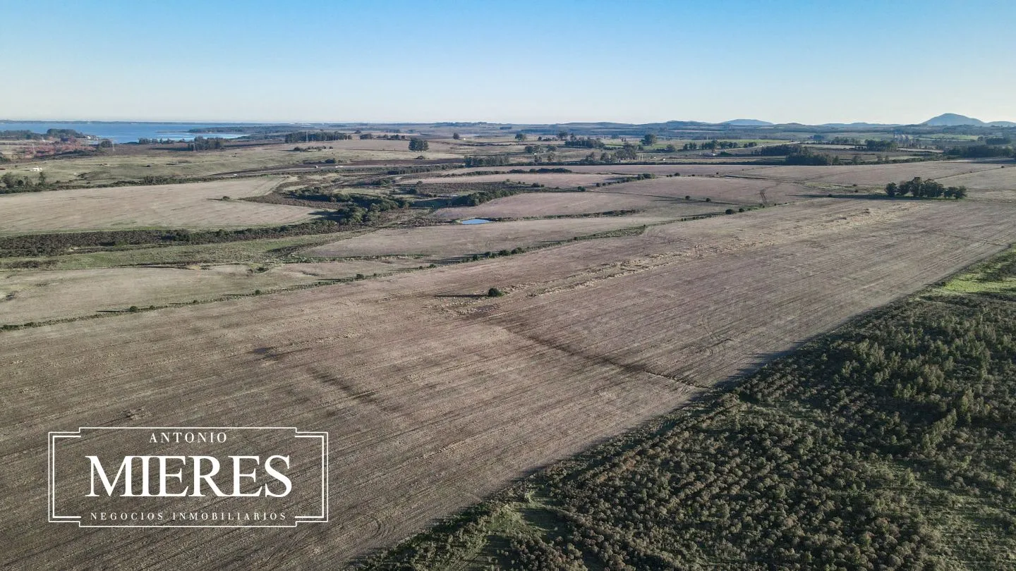 Venta de campo 50 ha en puntas de Laguna del Sauce — foto 5