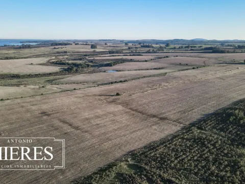 Venta de campo 50 ha en puntas de Laguna del Sauce — foto 5