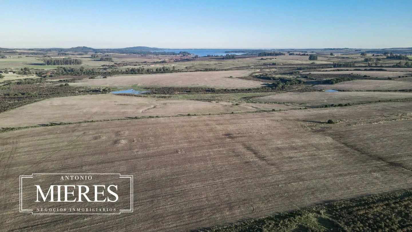 Venta de campo 50 ha en puntas de Laguna del Sauce — foto 6