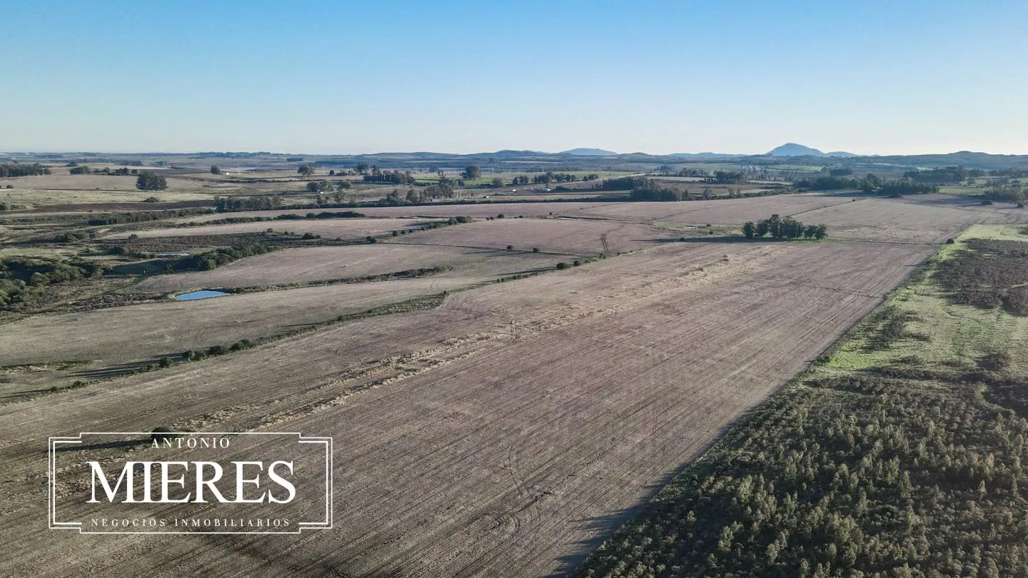 Venta de campo 50 ha en puntas de Laguna del Sauce — foto 7