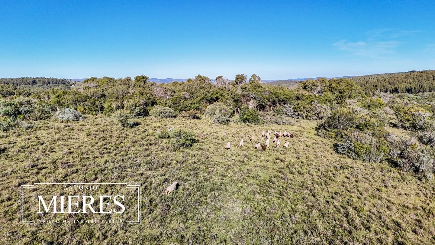 Campo de 23ha en Pueblo Eden — foto 22