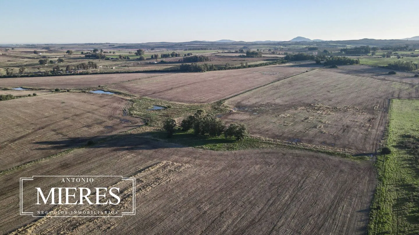Venta de campo 50 ha en puntas de Laguna del Sauce — foto 8