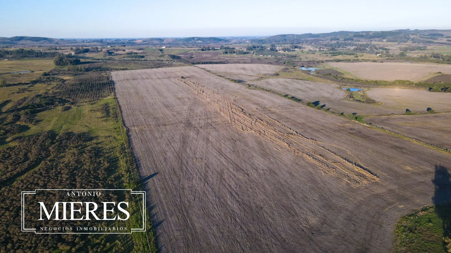 Venta de campo 50 ha en puntas de Laguna del Sauce — foto 9