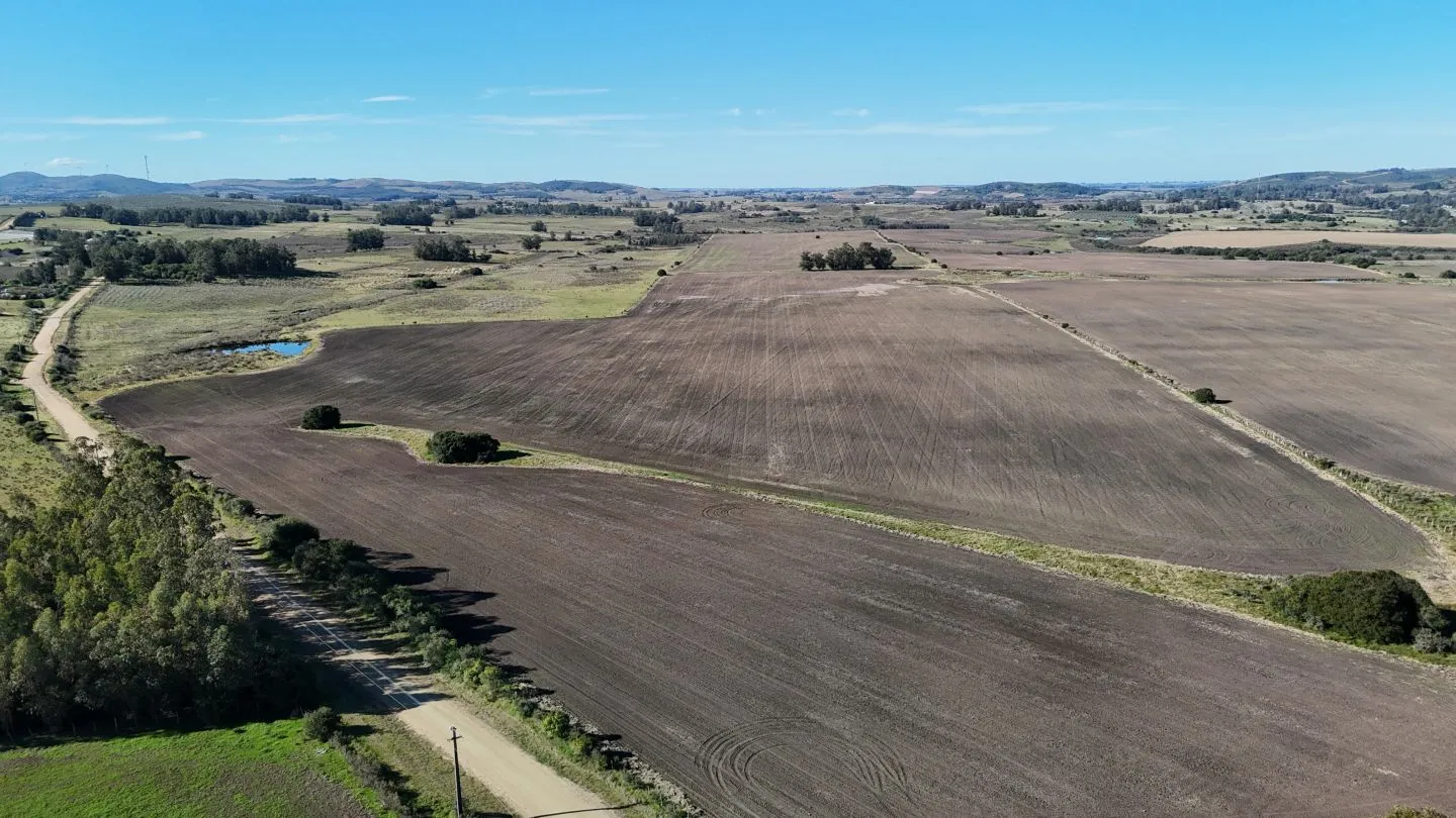 Campo de 17 ha en venta puntas de Laguna del Sauce — foto 1