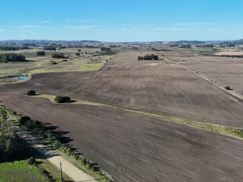 Campo de 17 ha en venta puntas de Laguna del Sauce