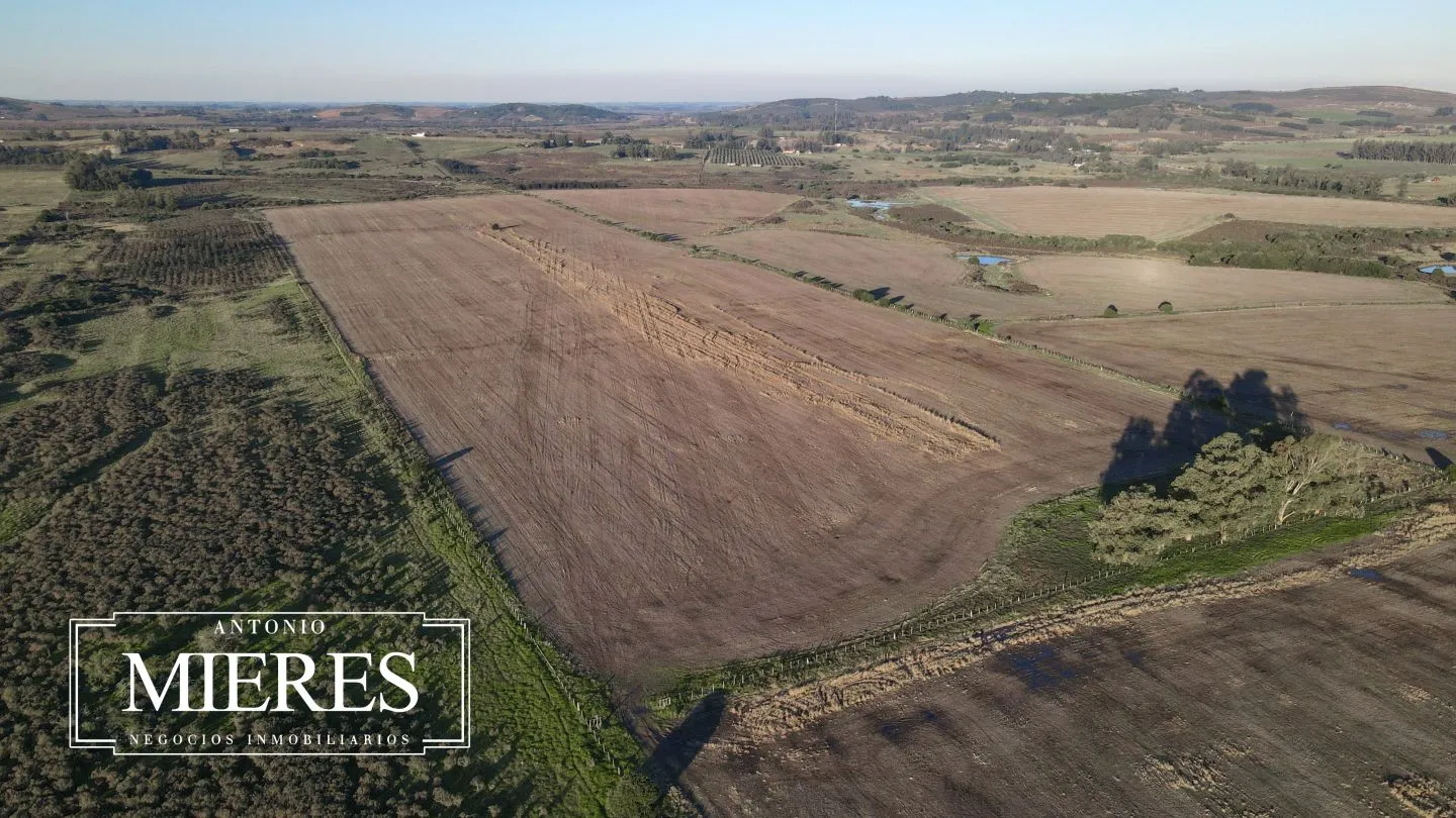 Venta de campo 50 ha en puntas de Laguna del Sauce — foto 10