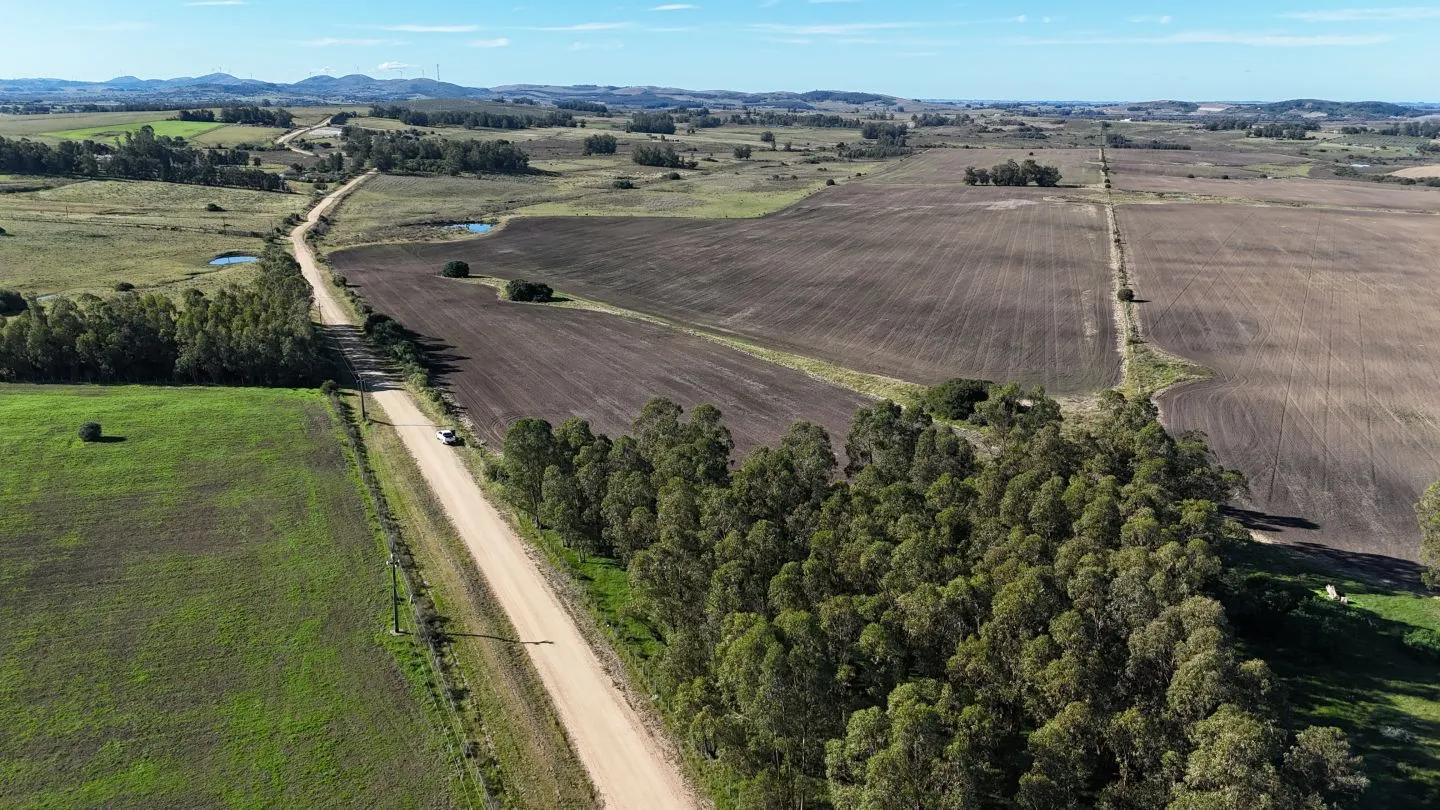 Campo de 17 ha en venta puntas de Laguna del Sauce — foto 2