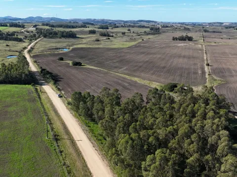 Campo de 17 ha en venta puntas de Laguna del Sauce — foto 2
