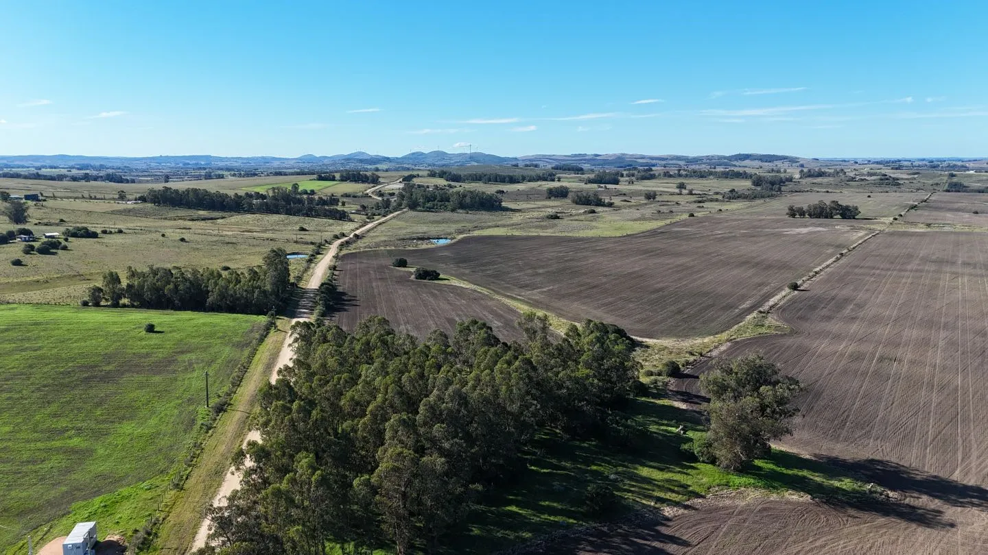 Campo de 17 ha en venta puntas de Laguna del Sauce — foto 3
