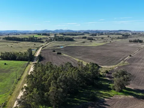 Campo de 17 ha en venta puntas de Laguna del Sauce — foto 3