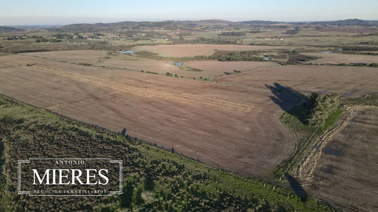 Venta de campo 50 ha en puntas de Laguna del Sauce — foto 11