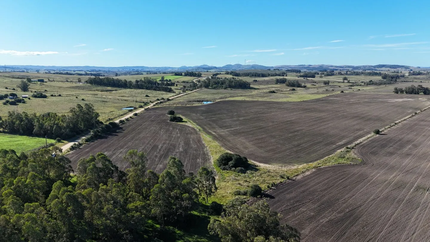 Campo de 17 ha en venta puntas de Laguna del Sauce — foto 4