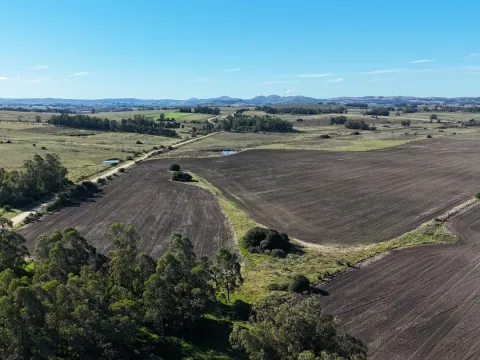 Campo de 17 ha en venta puntas de Laguna del Sauce — foto 4