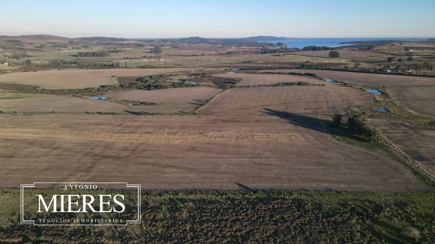 Venta de campo 50 ha en puntas de Laguna del Sauce — foto 12