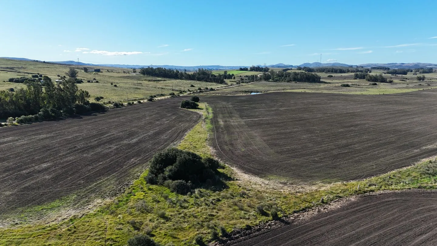 Campo de 17 ha en venta puntas de Laguna del Sauce — foto 5
